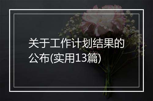 关于工作计划结果的公布(实用13篇)