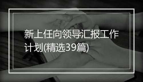 新上任向领导汇报工作计划(精选39篇)