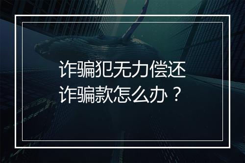 诈骗犯无力偿还诈骗款怎么办？