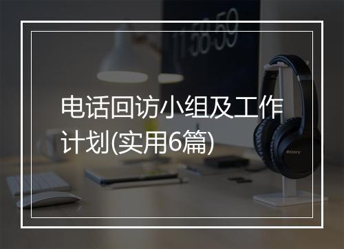 电话回访小组及工作计划(实用6篇)