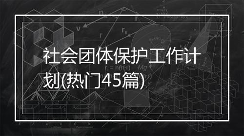 社会团体保护工作计划(热门45篇)