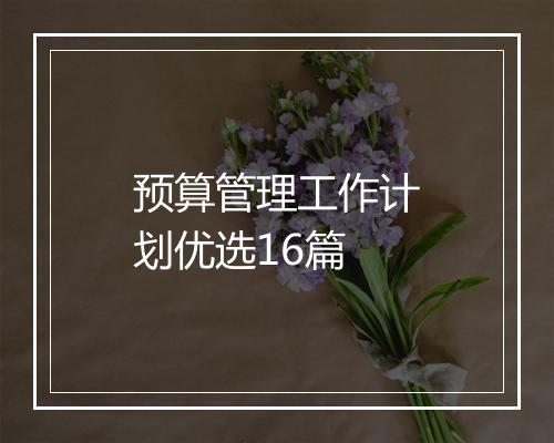 预算管理工作计划优选16篇