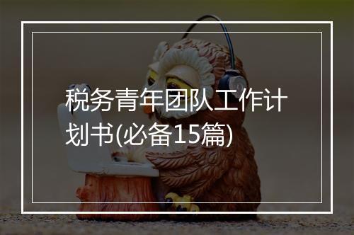 税务青年团队工作计划书(必备15篇)