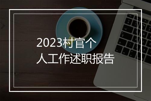 2023村官个人工作述职报告