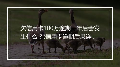 欠信用卡100万逾期一年后会发生什么？(信用卡逾期后果详解)