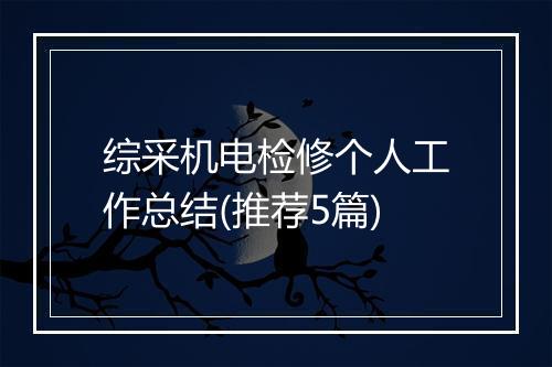 综采机电检修个人工作总结(推荐5篇)