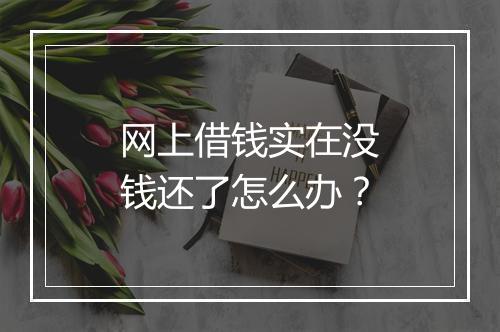 网上借钱实在没钱还了怎么办？