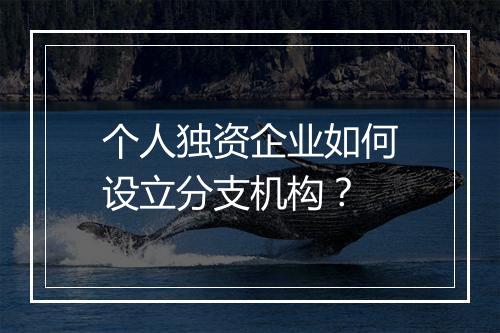 个人独资企业如何设立分支机构？