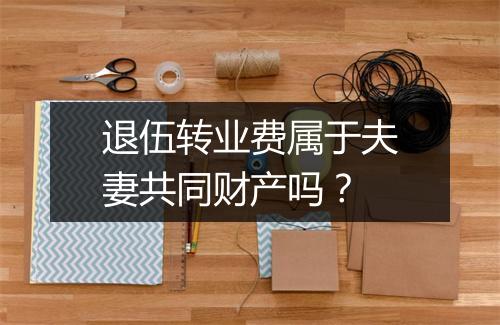 退伍转业费属于夫妻共同财产吗？