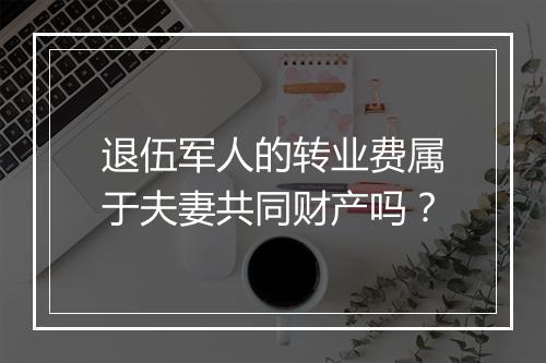 退伍军人的转业费属于夫妻共同财产吗？