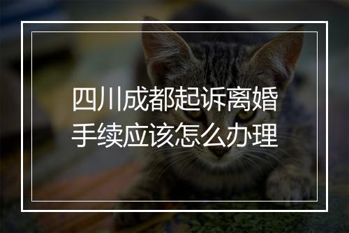 四川成都起诉离婚手续应该怎么办理