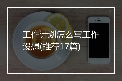工作计划怎么写工作设想(推荐17篇)
