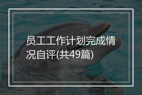 员工工作计划完成情况自评(共49篇)