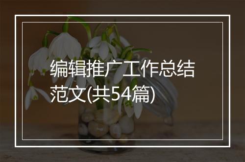 编辑推广工作总结范文(共54篇)