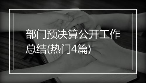 部门预决算公开工作总结(热门4篇)