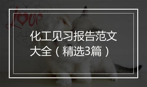 化工见习报告范文大全（精选3篇）