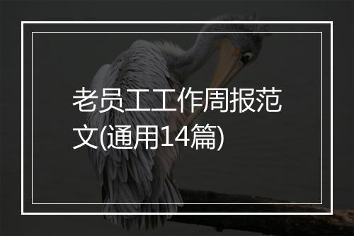 老员工工作周报范文(通用14篇)