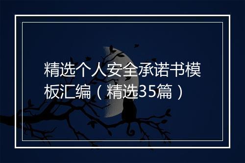 精选个人安全承诺书模板汇编（精选35篇）