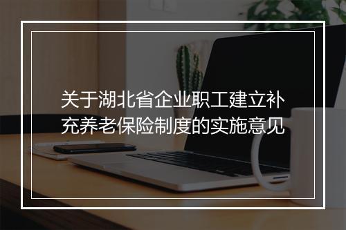 关于湖北省企业职工建立补充养老保险制度的实施意见