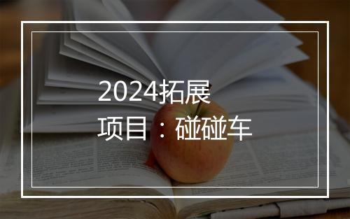2024拓展项目：碰碰车