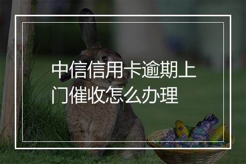 中信信用卡逾期上门催收怎么办理