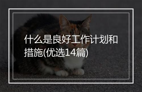 什么是良好工作计划和措施(优选14篇)