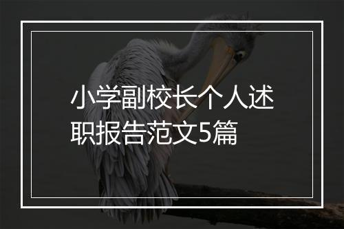 小学副校长个人述职报告范文5篇