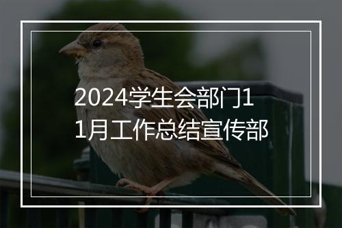 2024学生会部门11月工作总结宣传部