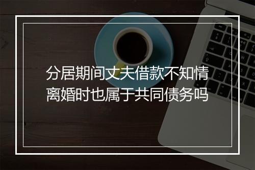 分居期间丈夫借款不知情离婚时也属于共同债务吗