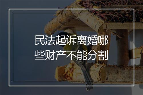 民法起诉离婚哪些财产不能分割