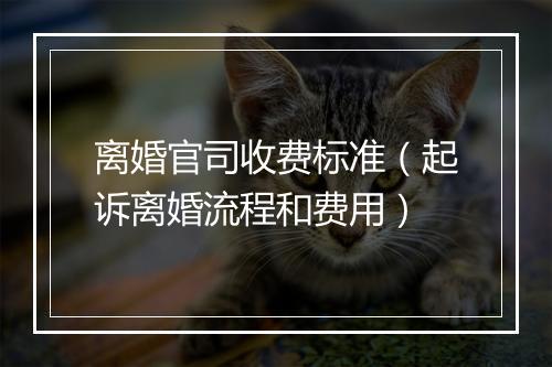 离婚官司收费标准（起诉离婚流程和费用）