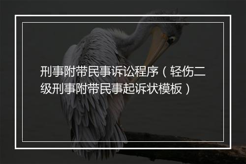 刑事附带民事诉讼程序（轻伤二级刑事附带民事起诉状模板）