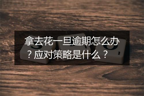 拿去花一旦逾期怎么办？应对策略是什么？