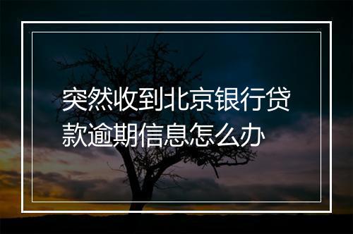 突然收到北京银行贷款逾期信息怎么办