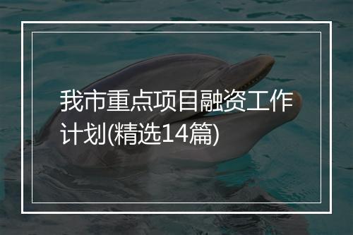 我市重点项目融资工作计划(精选14篇)