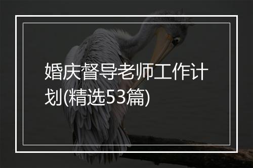 婚庆督导老师工作计划(精选53篇)