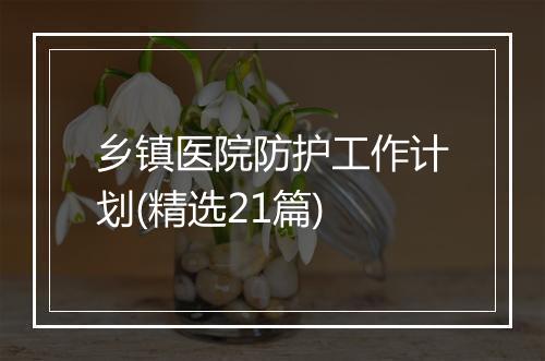 乡镇医院防护工作计划(精选21篇)