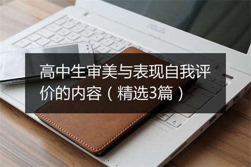 高中生审美与表现自我评价的内容（精选3篇）