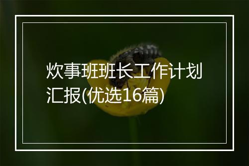 炊事班班长工作计划汇报(优选16篇)