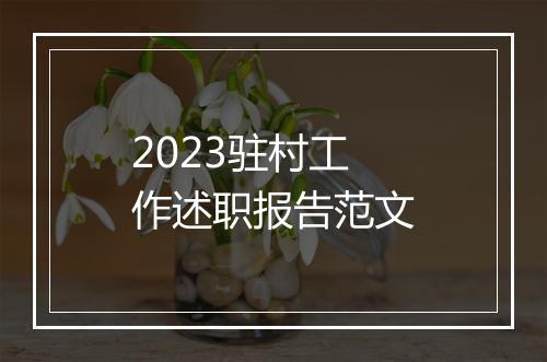 2023驻村工作述职报告范文