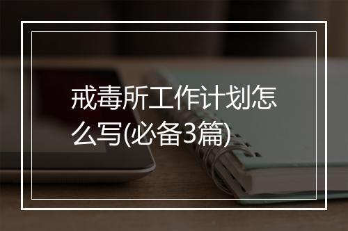 戒毒所工作计划怎么写(必备3篇)
