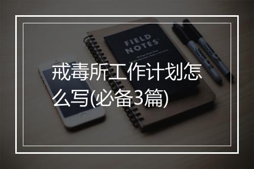 戒毒所工作计划怎么写(必备3篇)