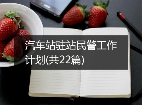 汽车站驻站民警工作计划(共22篇)