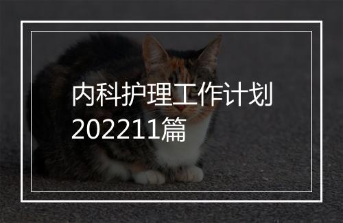 内科护理工作计划202211篇