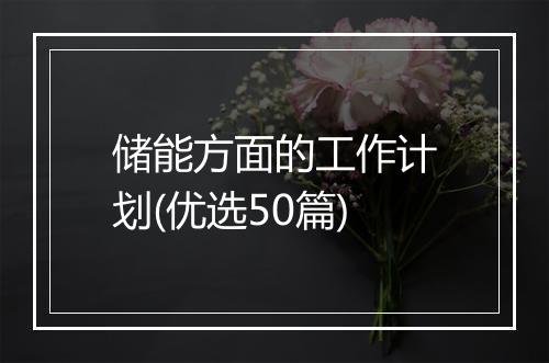 储能方面的工作计划(优选50篇)
