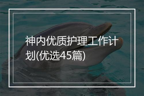 神内优质护理工作计划(优选45篇)