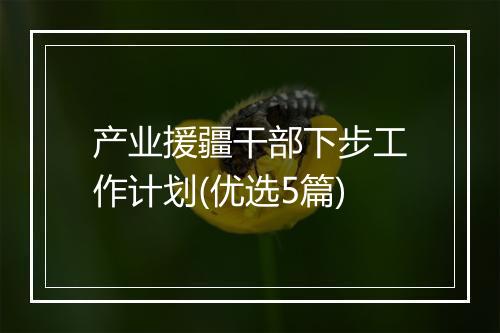 产业援疆干部下步工作计划(优选5篇)