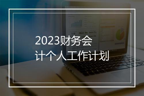 2023财务会计个人工作计划