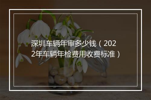 深圳车辆年审多少钱（2022年车辆年检费用收费标准）