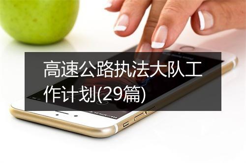 高速公路执法大队工作计划(29篇)
